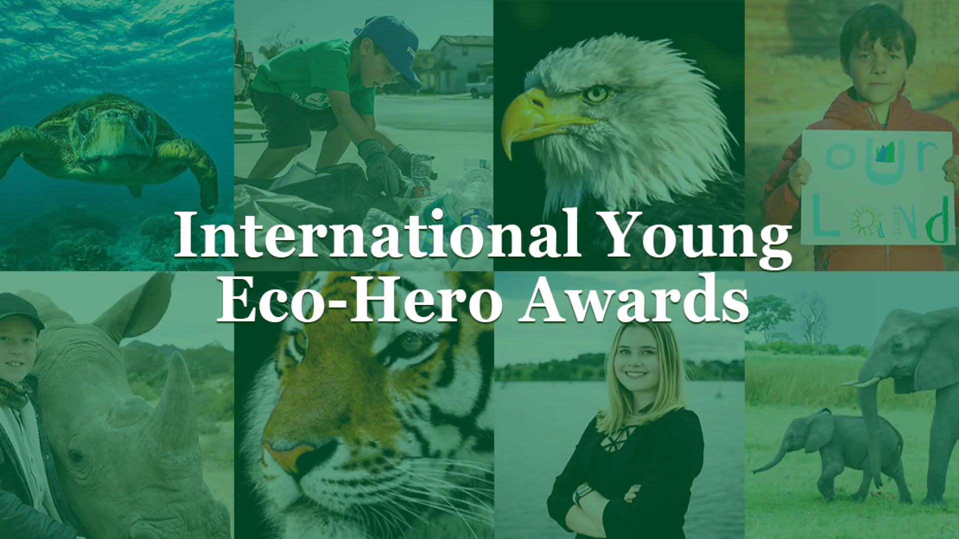 International Eco-Hero Awards — 8-16 yosh orasidagi tashabbuskor yoshlarning ekologik loyihalari bo'yicha xalqaro tanlov