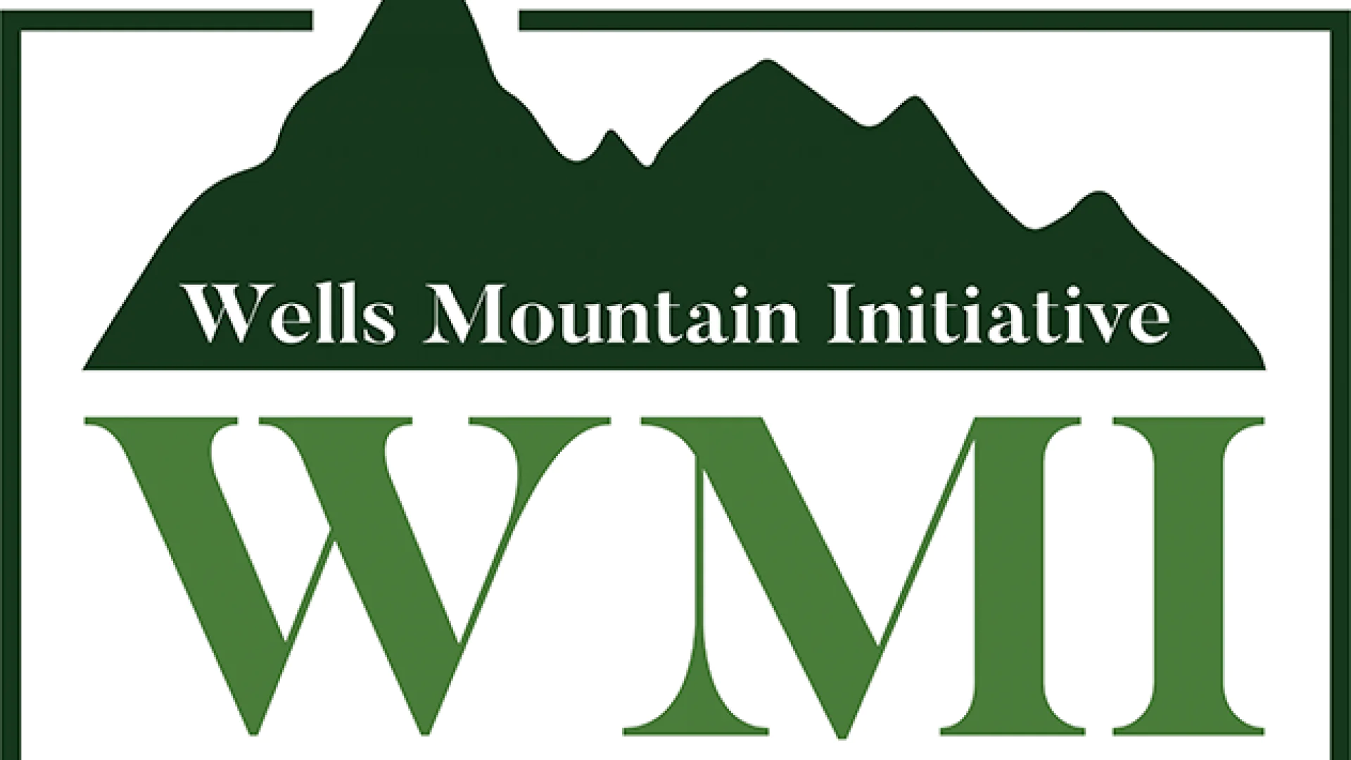 Bakalavr bosqichi talabalari uchun Wells Mountain Initiative stipendiya dasturi. Yillik stiрendiya miqdori — $3000 gacha